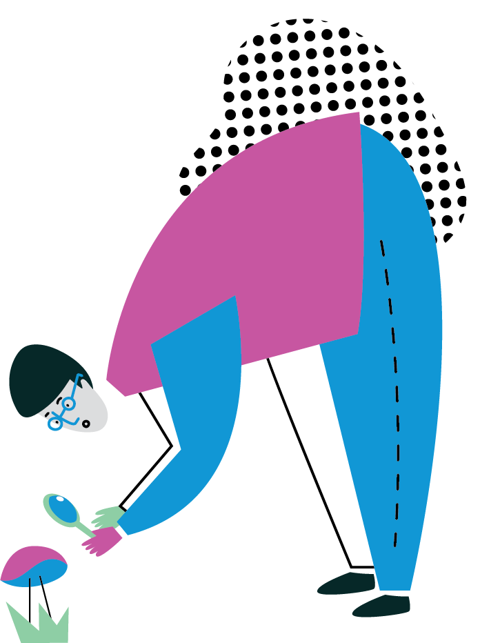 B1